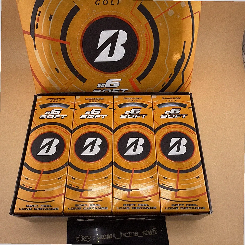 2 Dozen New Bridgestone 2025 e6 Soft Golf Balls White