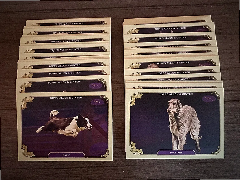 2024 Topps Allen & Ginter Best in Show Westminster Kennel Club Complete Set (40)