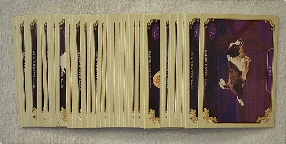 2024 Topps Allen & Ginter Westminster Stars Show Kennel Club Complete Set #1-40