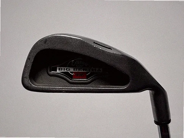 Callaway Big Bertha 1996 Single 1 Iron True Temper DG S300U Stiff Steel Mens RH