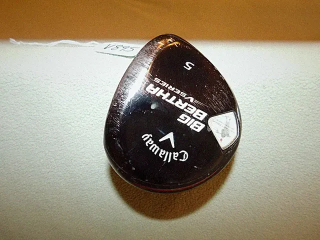 Callaway Big Bertha V Series Regular Flex Rayon Shaft 5 Wood 42.5 Inches V895