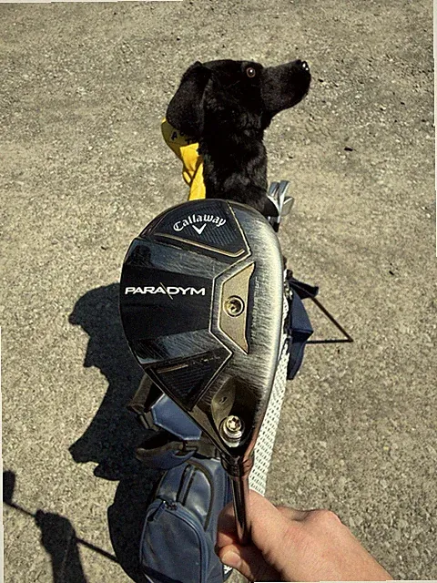 Callaway Paradym 18° Hybrid RH Stiff Graphite Shaft Black Mid Spin (Used)