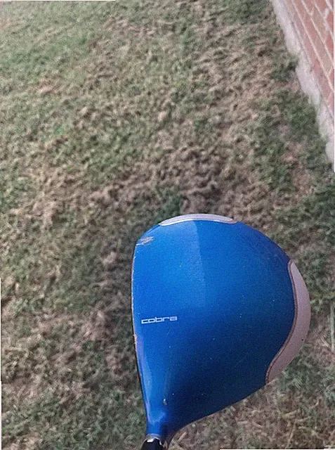 Cobra Amp Cell Blue Adjustable Driver 8.5-11.5 Mens RH 60G