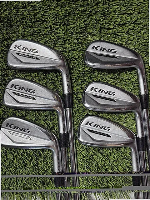 Cobra King 2020 Forged Tec Iron Set 5-PW DG Steel Shafts X Stiff Flex RH