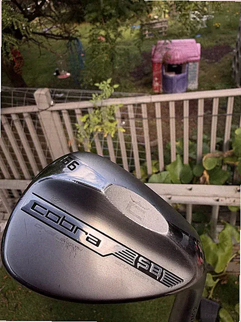 Cobra Snake Bite One Length Wedge 56 Degree KBS HI-Rev 125