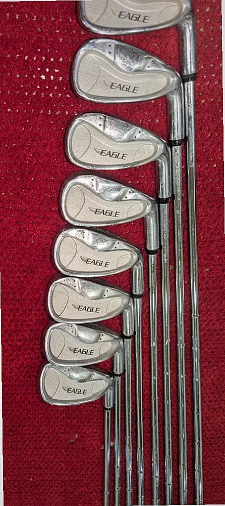 Complete 13 Club Golfmate Beginner Set w Wilson Cart Bag