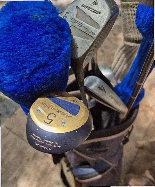complete golf club set with bag brand Wilson some are silver some royal blue