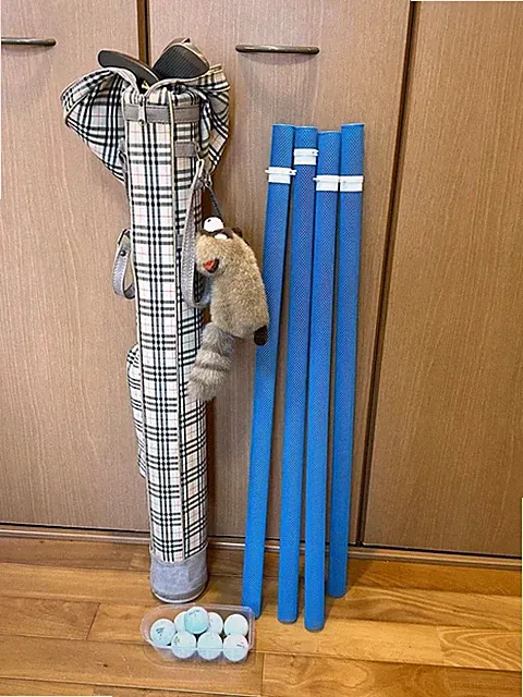 Dunlop Golf Club Set 3 pcs with Putter, Beginner Friendly, Used, Free Shipping