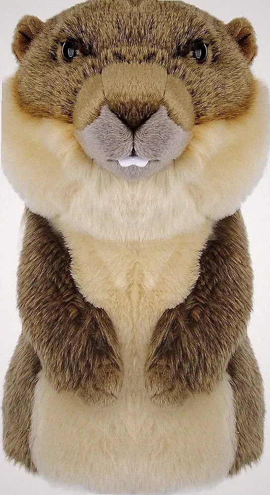 Golf Club Head Covers Groundhog, Animals Plush Driver 460CC Driver Head