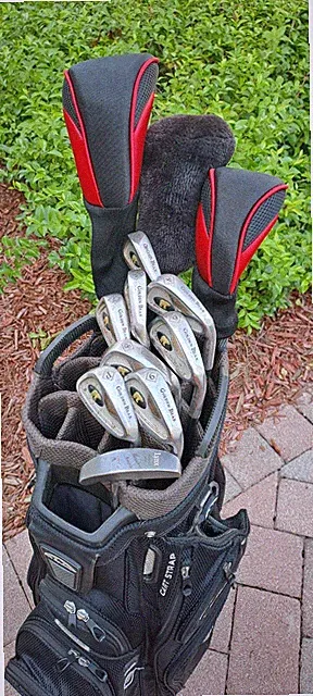 golf men's 12 clubs graphite set Red Black Covers GOLDEN BEAR irons Tigershark