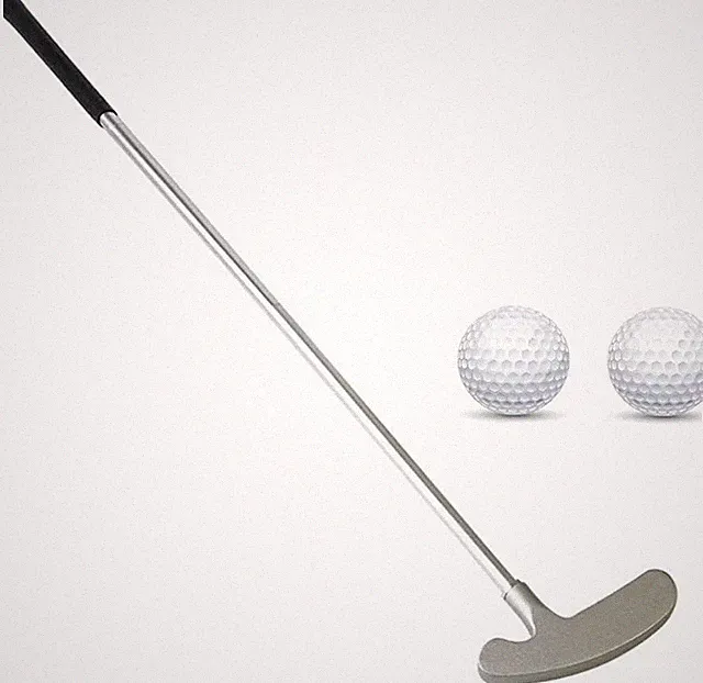 Golf Putter, Two Ways Putters for Men Right/Left 35', Silvery