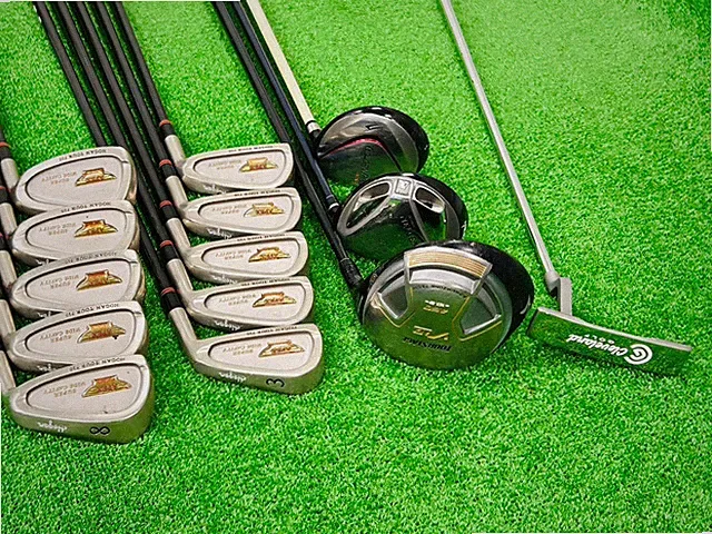 Hogan Apex Fullset 1W-3W-5W 3-9+PW+PS+SW+Putter RH Regular Flex 14pics EL9139