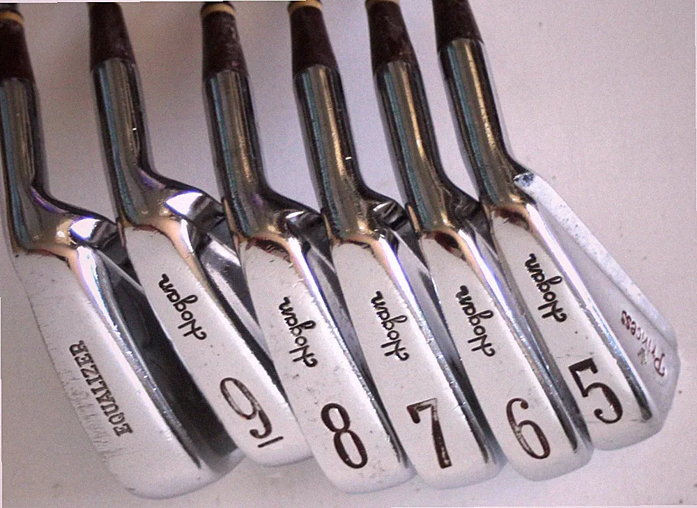 Hogan Princess 5-9 Irons + Equalizer Steel Shafts Women's Flex Right Hand #3186