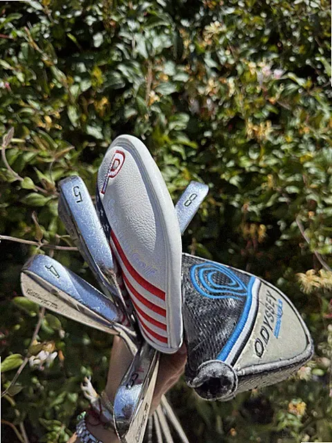 King Cobra Pro MB Forged irons 3, 4, 5, 7, 8, & P irons / wedge + Odyssey Putter