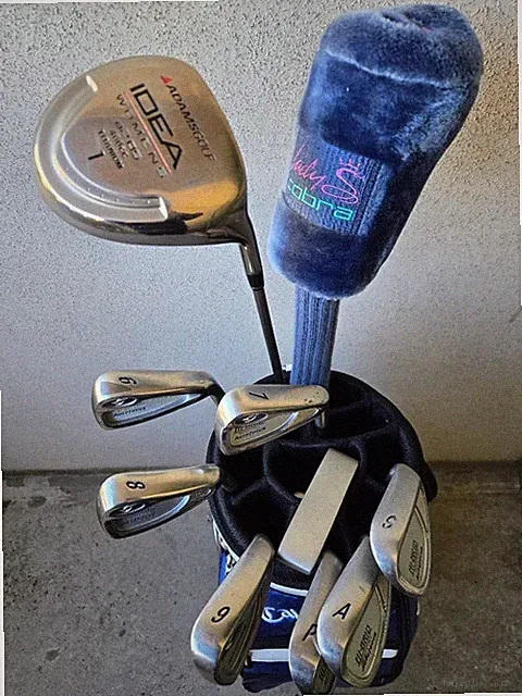 Ladies Golf Club Set 10 pcs Beginner Driver Fairway Iron Putter Caddy Bag