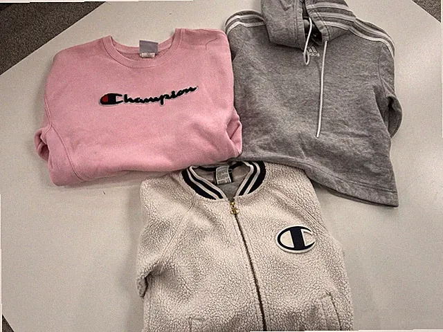 Lot Of 3 Champion & Adidas Sweatshirt Crop Top Womens XS