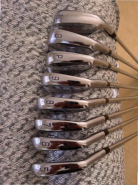Mizuno Pro 221 Forged Iron Set 5-G Dynamic Gold 105 R300 Regular Excellent