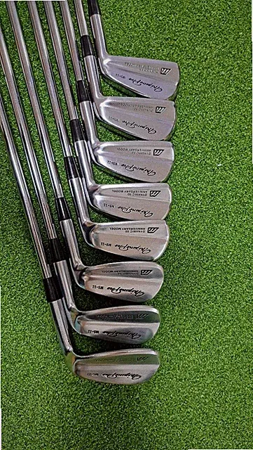 Mizuno Pro MS-11 Iron Set 8pcs 3-PW Dynamic 50