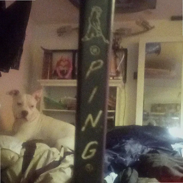 PING Boy Scouts Golf 1990 Right-Handed Putter Golf Club - 1 Club
