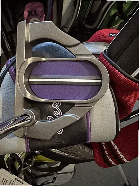 Ping Serene Craz-E Too Putter 33" Length Women's Right Handed