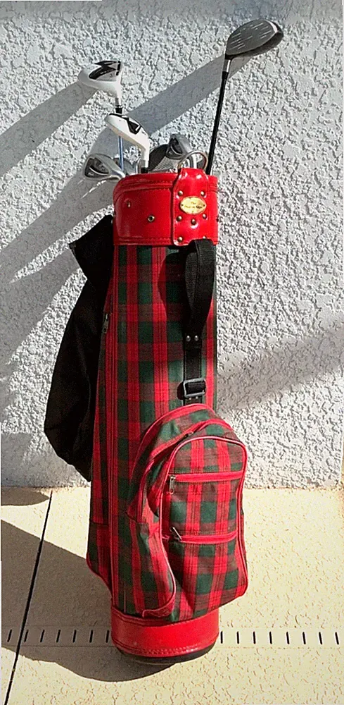 golf clubs starter set