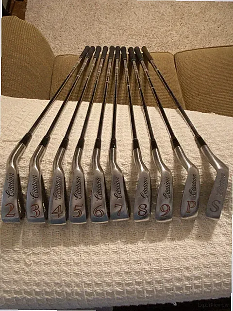 Powerbilt Citation Iron Set 2-SW RH Steel Dynasty Plus Shafts Regular Flex