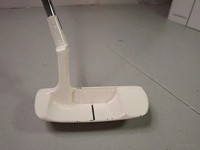 * RARE * White * Read* Shear Line Model N Putter True Temper Shaft 33.5" RH