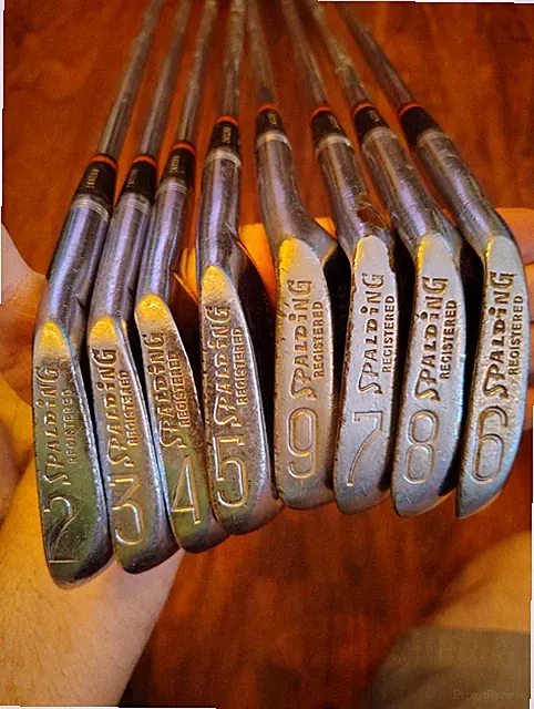 Spalding Top Flight Professional Irons "Bird On Ball" Set Of 8