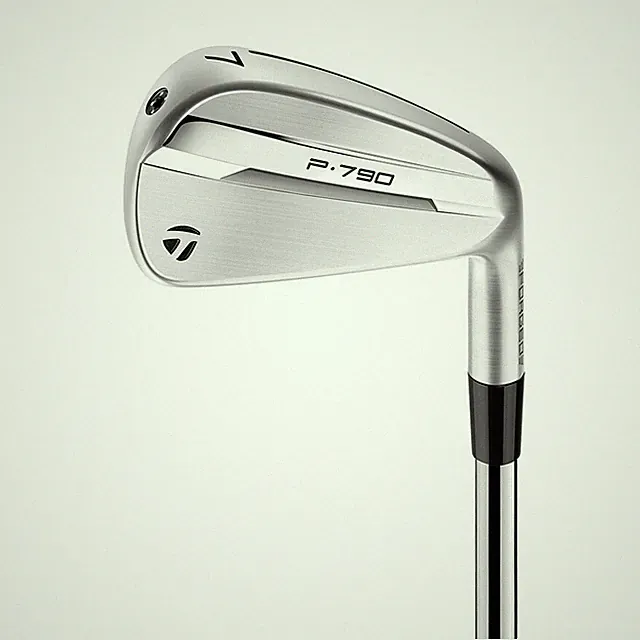 Taylormade 2025 P∙790 Single Iron True Temper Dynamic Custom Steel Shafts Choose