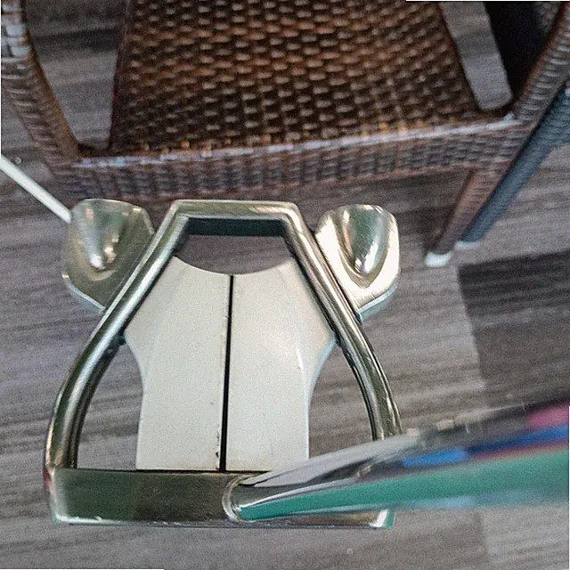 TaylorMade GHOST Spider Putter Center Shaft Used From Japan