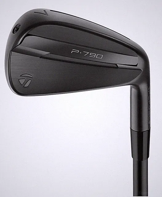 TaylorMade P790™ Forged | Seven RH Iron Set 4-P | Dynamic Gold 105 S300 Shaft