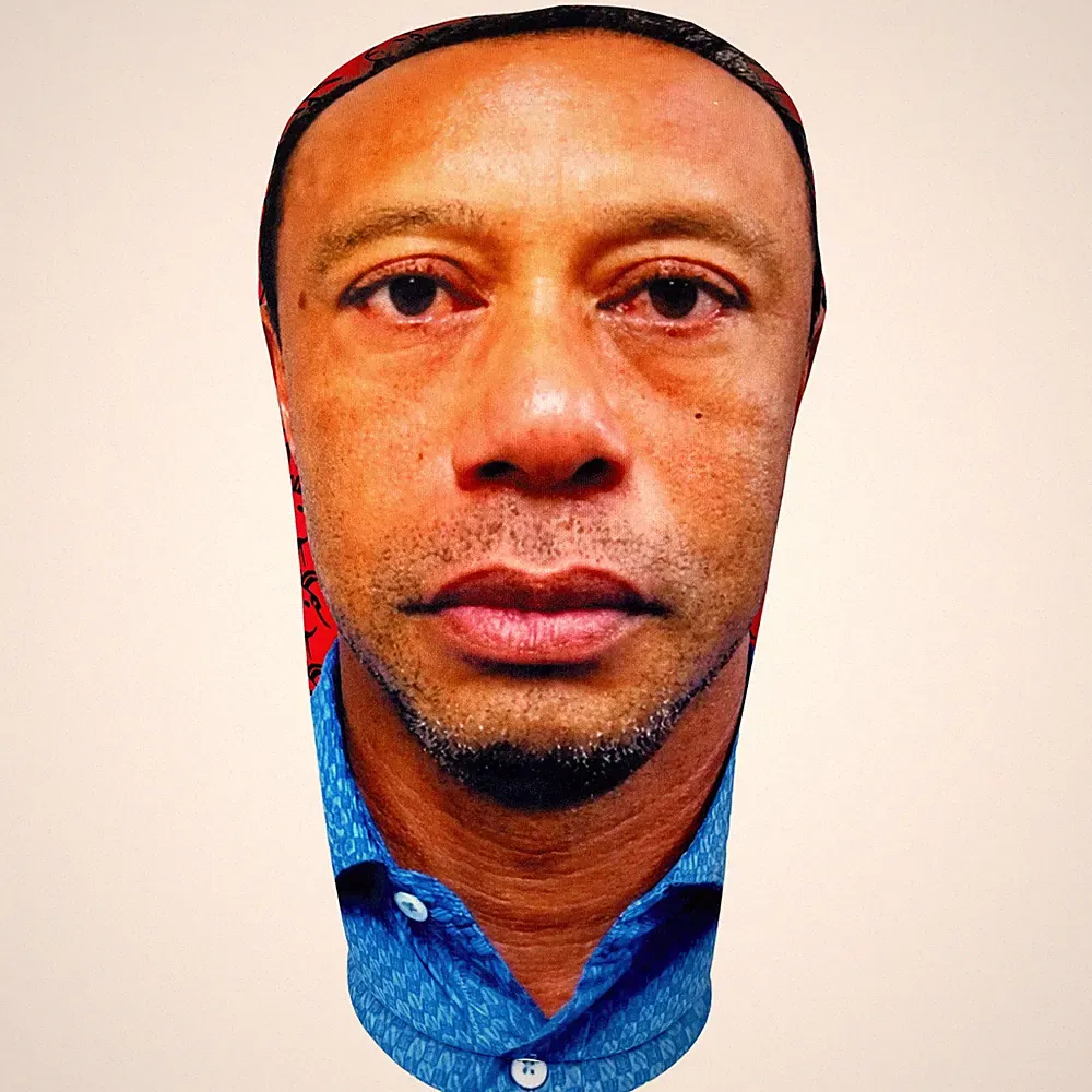 BeeJos USA Tiger Woods Goat Driver Head Cover