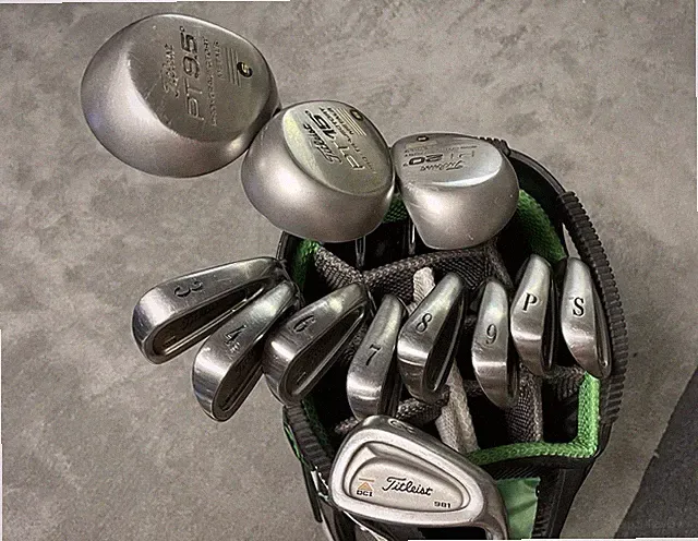 Titleist DCI 981 Iron Set 3-PW SW + PT Woods Dynamic Gold R300 Lite No 5 Extra 8