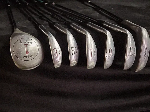 Vintage Hogan Radial Jr Club Set Driver 3, 5, 7, 9 E Wedge Steel Shaft Putter RH