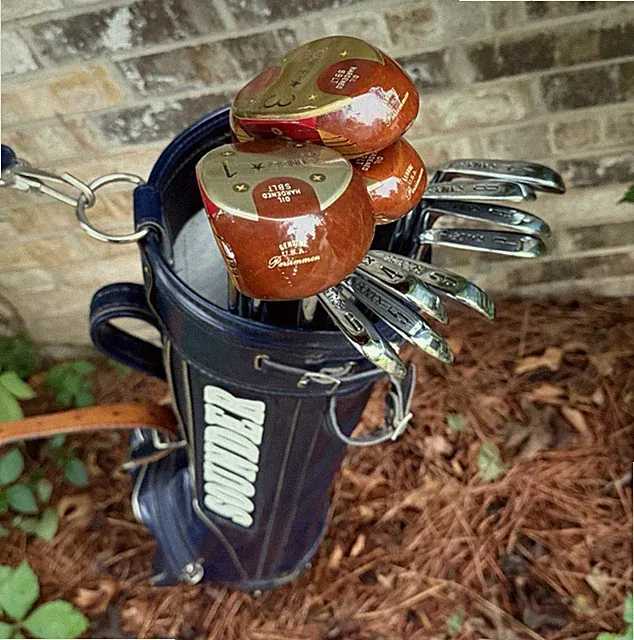 VTG Sounder Golf Clubs Tour SB IV Iron Set 3-P, Persimmon Woods, Bag R300 RH