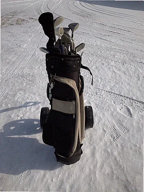 Wilson ProStaff Womens clubs 1357 woods 3-9 Irons Putter &chipper Golf Bag& cart