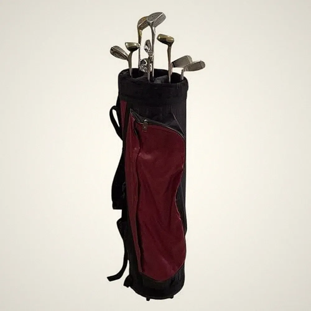 Women’s Complete Golf Club Set Lynx Tigress & MacGregor Woods, Irons & Stand Bag