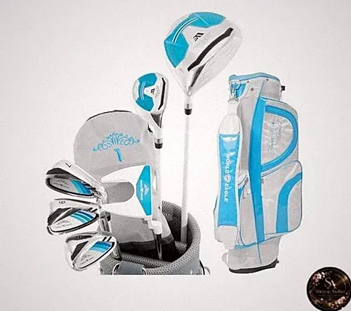 WORLD EAGLE Beginner's Golf Club Set for Women Right-Handed 6 Clubs FL-01V2